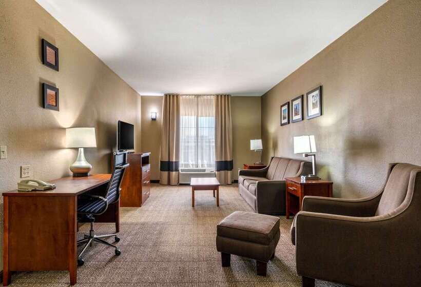 Hotel Comfort Inn & Suites Sacramento – University Area