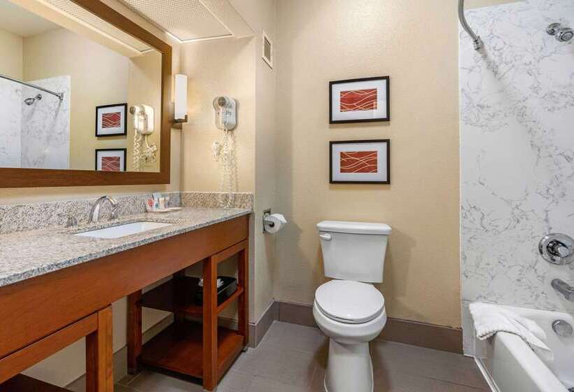 فندق Comfort Inn & Suites Sacramento – University Area