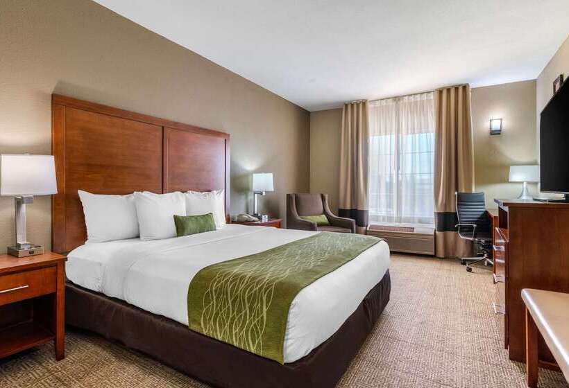 هتل Comfort Inn & Suites Sacramento   University Area
