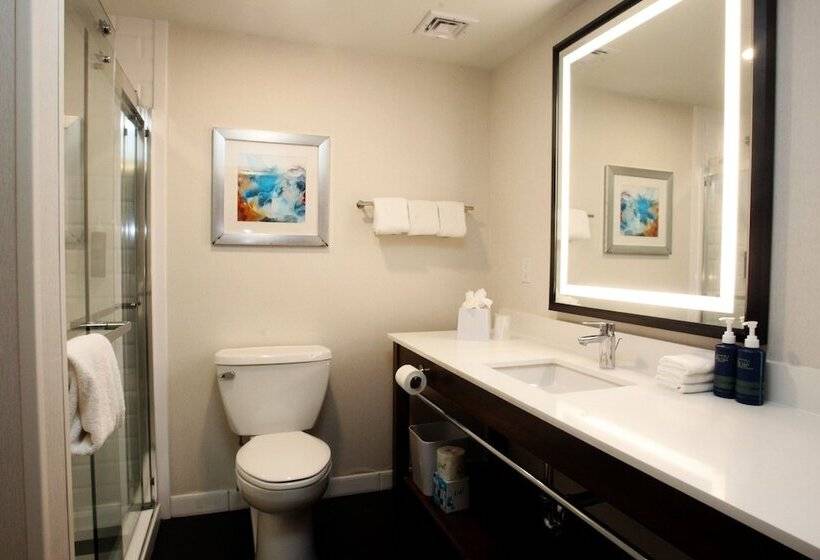 Four Points By Sheraton Wakefield Boston Hotel & Conference Center