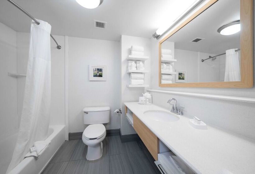 هتل Hampton Inn & Suites Modesto Salida