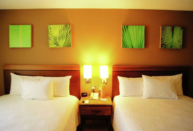 هتل Hilton Garden Inn Boca Del Rio Veracruz