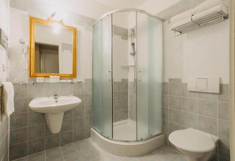 Fotos del hotel Louis Leger:  6