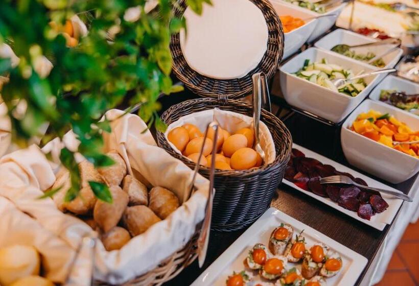 Fotos del hotel Louis Leger:  14