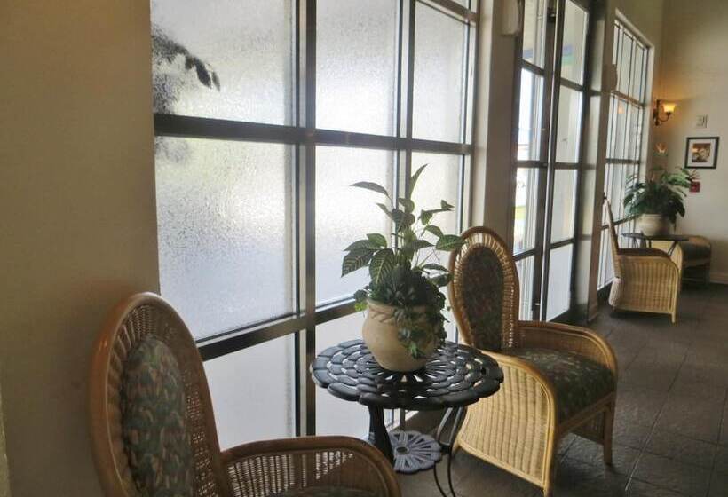 Fotos del hotel Monumental Movieland:  10