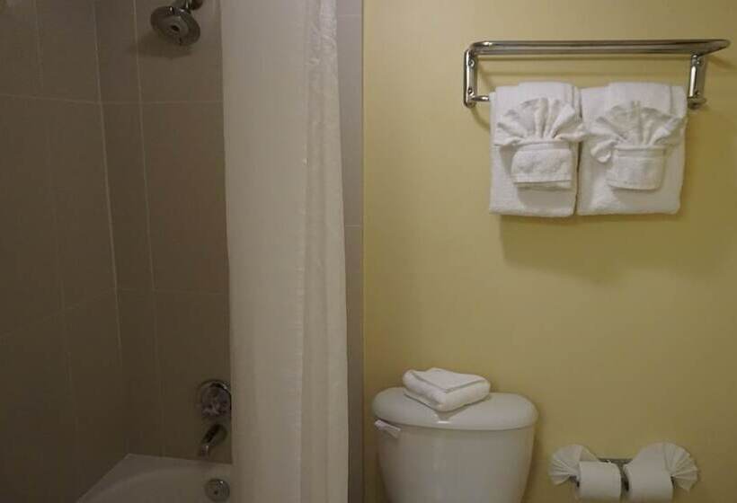 هتل Renaissance Daytona Beach Oceanfront
