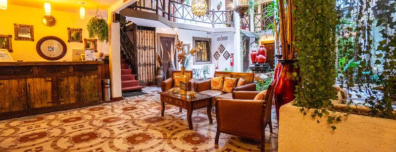 Fotos del hotel Posada Mariposa Boutique   5th Avenue:  3