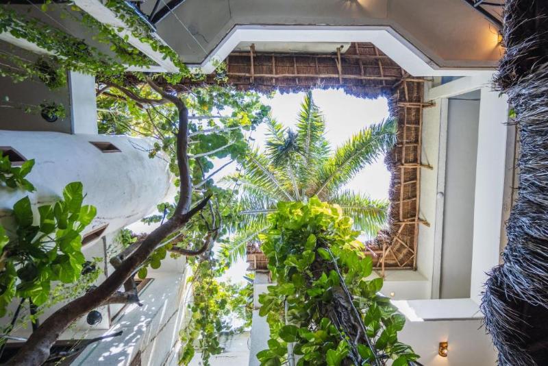 Fotos del hotel Posada Mariposa Boutique   5th Avenue:  9