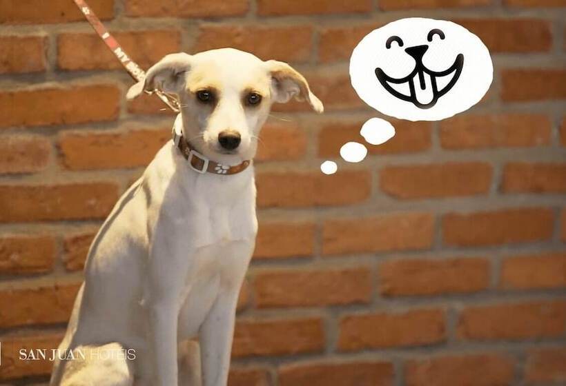 בית מלון כפרי Johnscher By Sj   San Juan Curitiba