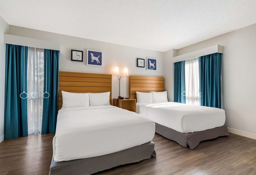 Hotel Sonesta Es Suites Orlando International Drive