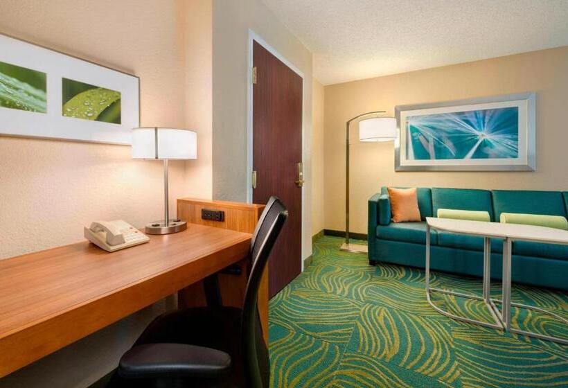 ホテル Springhill Suites Mishawaka University Area