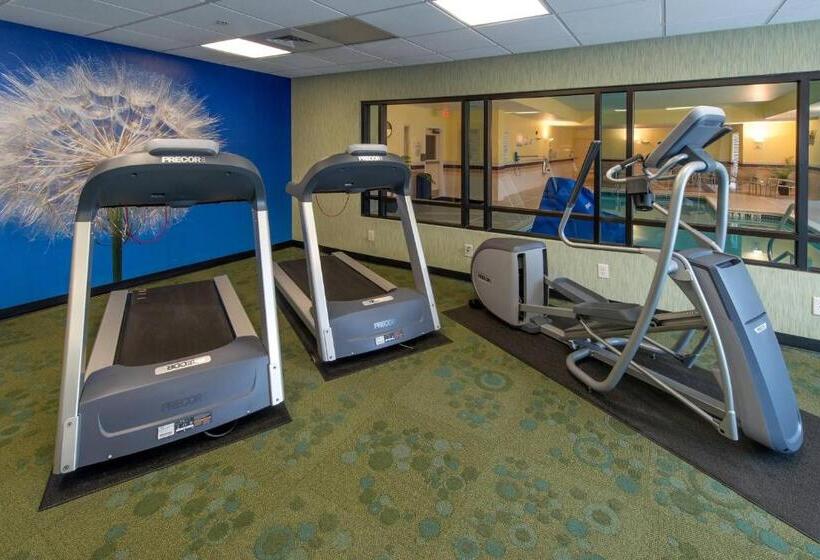 هتل Springhill Suites By Marriott Greensboro