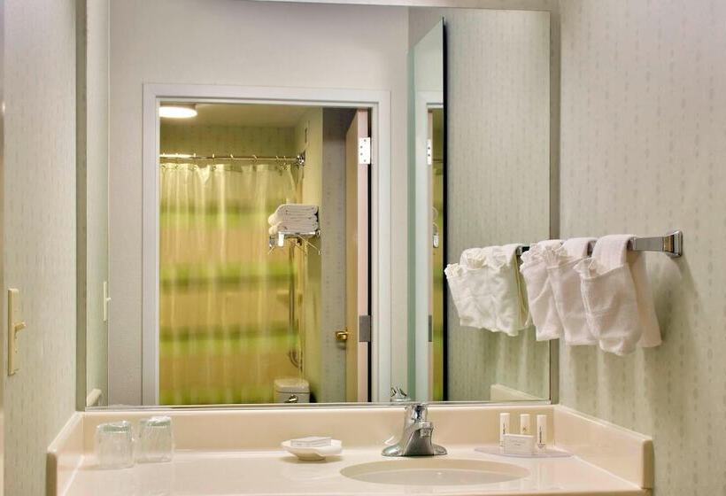 هتل Springhill Suites Philadelphia Plymouth Meeting