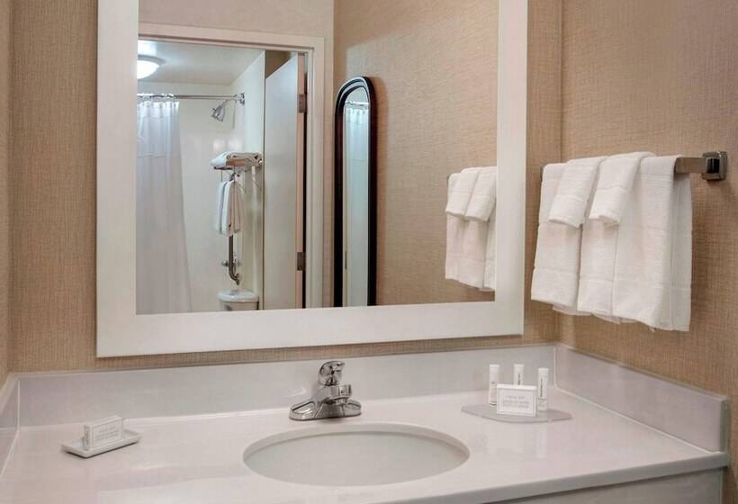 ホテル Springhill Suites By Marriott Philadelphia Willow Grove