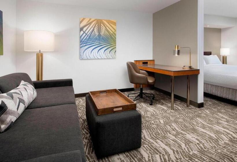 هتل Springhill Suites By Marriott Portland Hillsboro