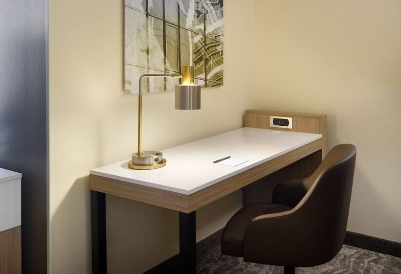 فندق Springhill Suites Raleighdurham Airport/research Triangle Park