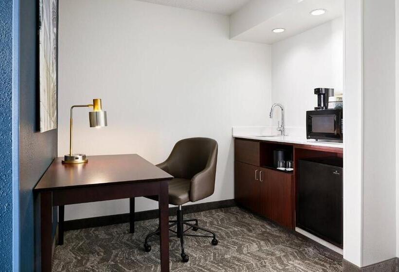 هتل Springhill Suites By Marriott Richmond North/glen Allen