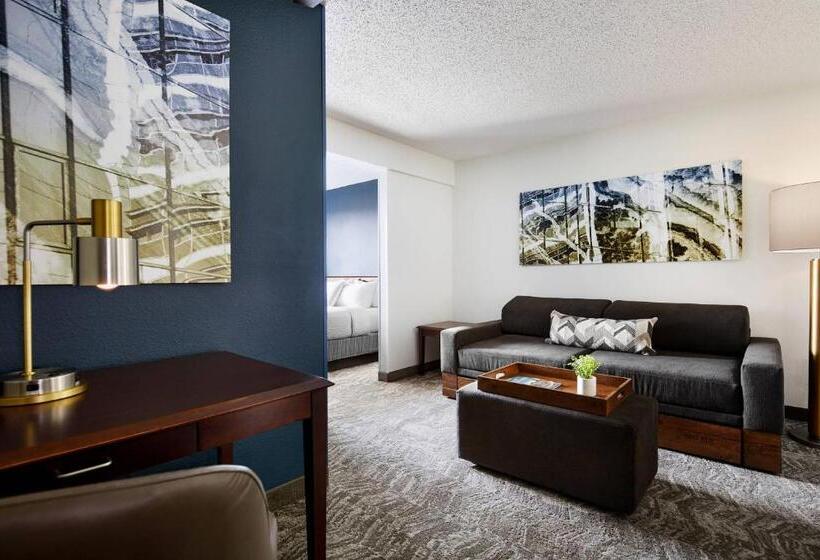 هتل Springhill Suites By Marriott Richmond North/glen Allen