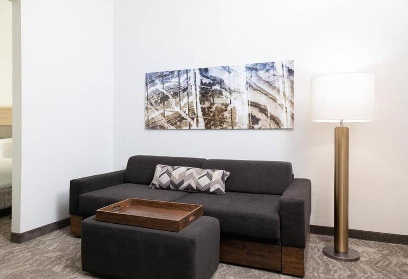 هتل Springhill Suites By Marriott Williamsburg