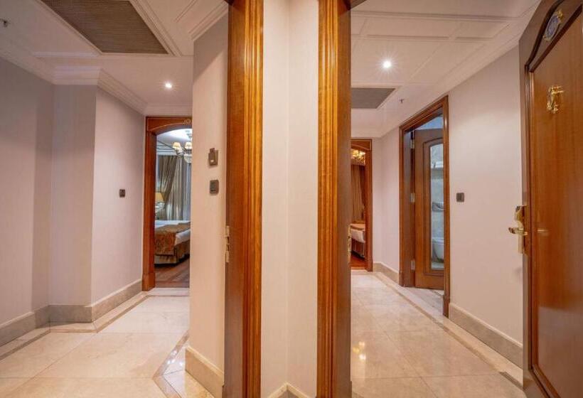 Fotos del hotel The Central Palace Taksim:  17