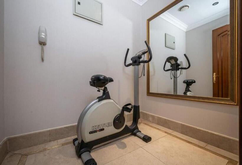 Fotos del hotel The Central Palace Taksim:  24