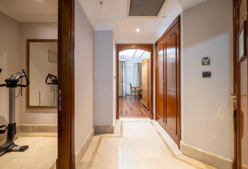 Fotos del hotel The Central Palace Taksim:  16