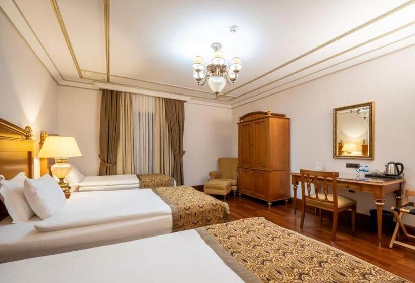 Fotos del hotel The Central Palace Taksim:  14