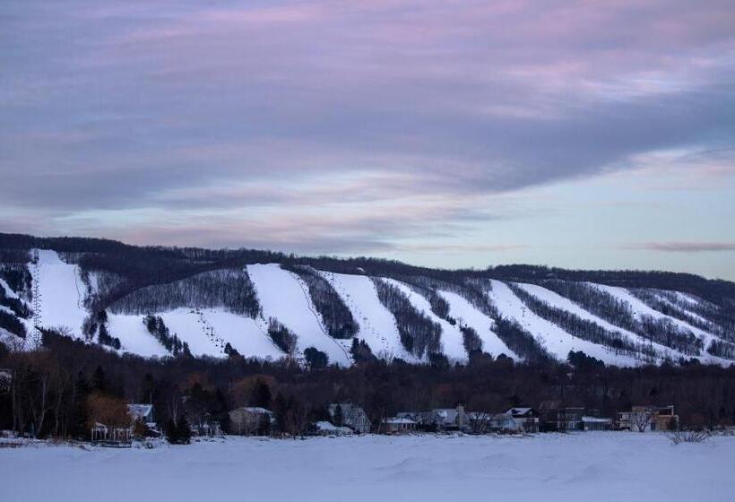 فندق Boutique Suite #7