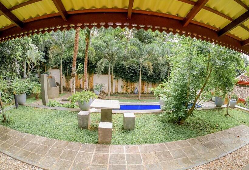Terrace Garden Ayurveda Resort