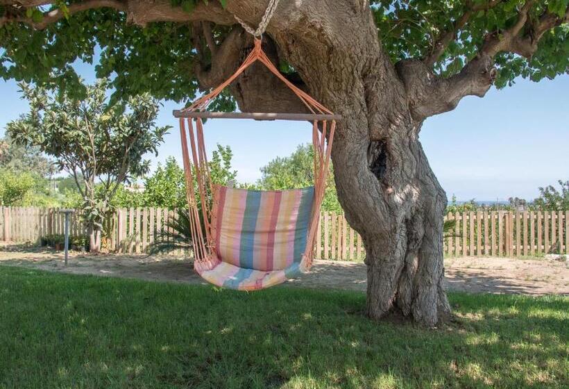 B&b Il Gelso Rooms