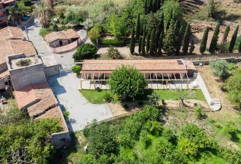 B&b Il Gelso Rooms