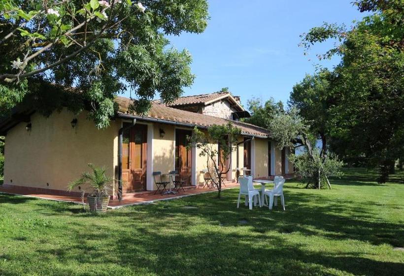 Bed and Breakfast Podere San Paolo