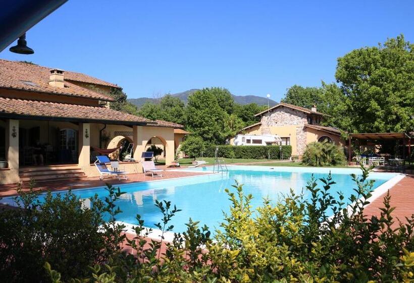 Bed and Breakfast Podere San Paolo