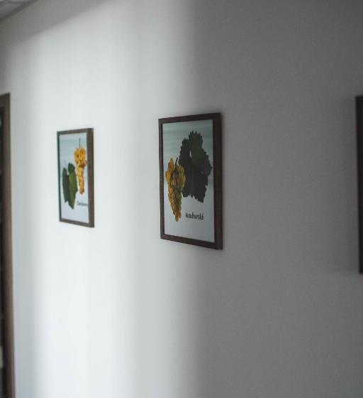 پانسیون Apartmány Pemag Mikulov