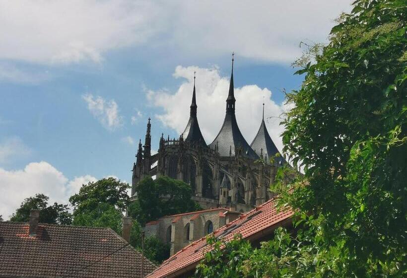 پانسیون Apartmány U Koudelníka