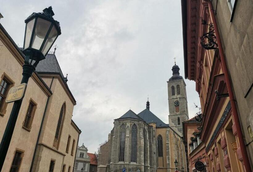 پانسیون Apartmány U Koudelníka