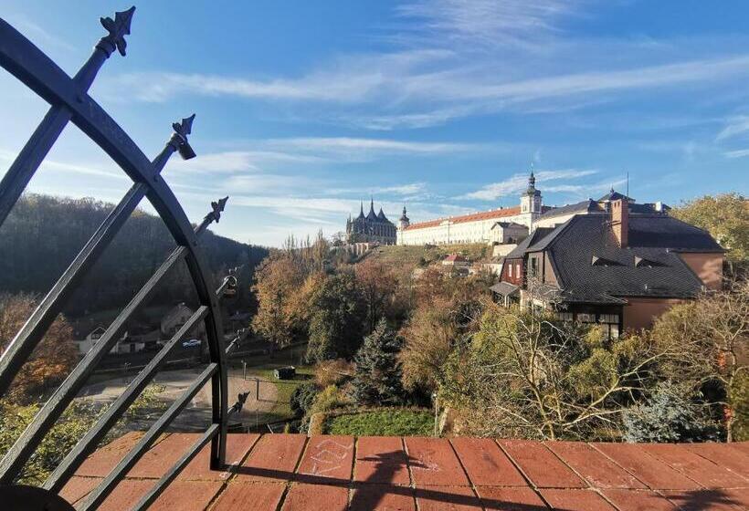 پانسیون Apartmány U Koudelníka