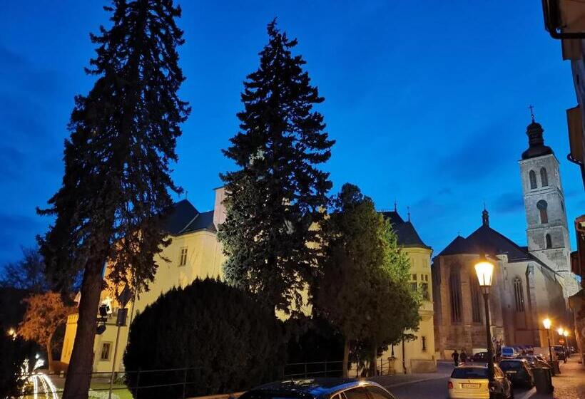 پانسیون Apartmány U Koudelníka