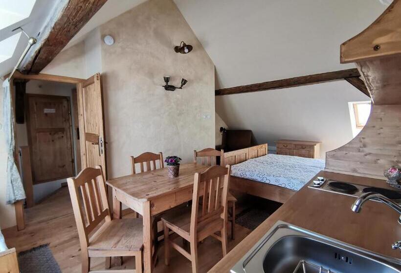 پانسیون Apartmány U Koudelníka