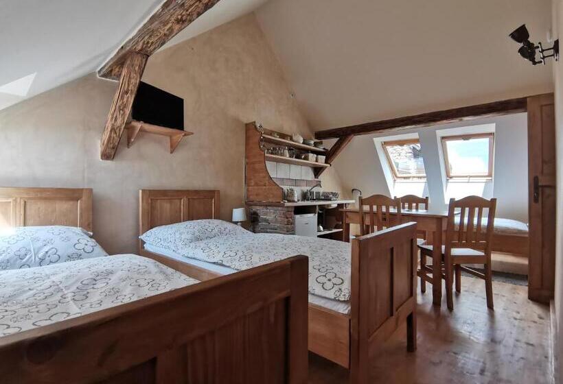 پانسیون Apartmány U Koudelníka