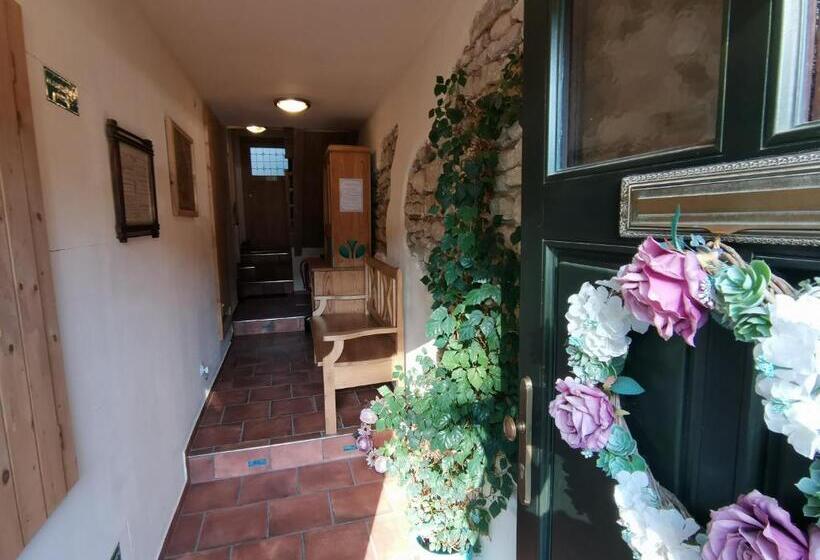 پانسیون Apartmány U Koudelníka