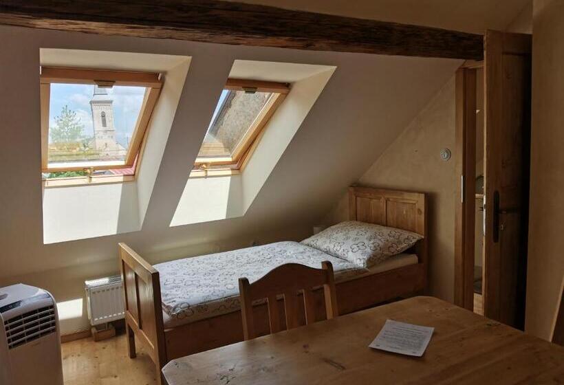 پانسیون Apartmány U Koudelníka