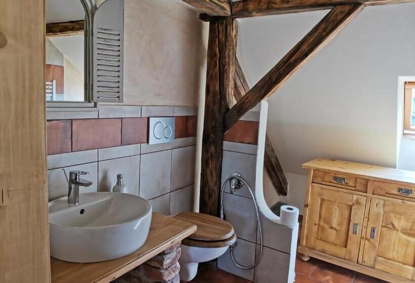 پانسیون Apartmány U Koudelníka