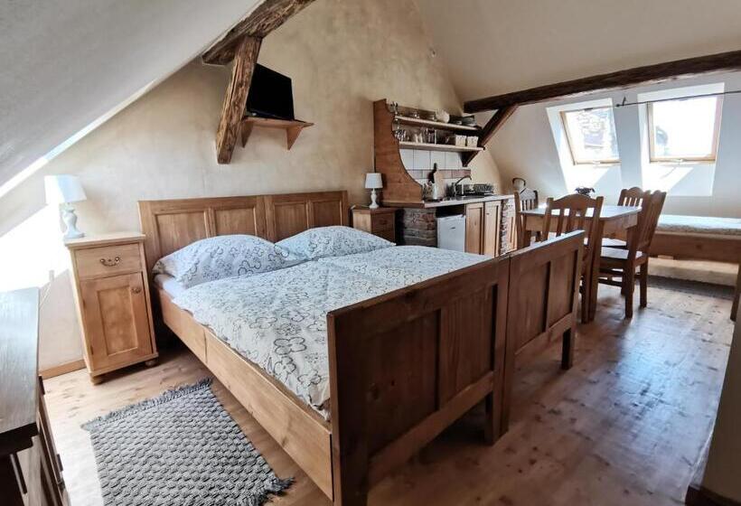 پانسیون Apartmány U Koudelníka