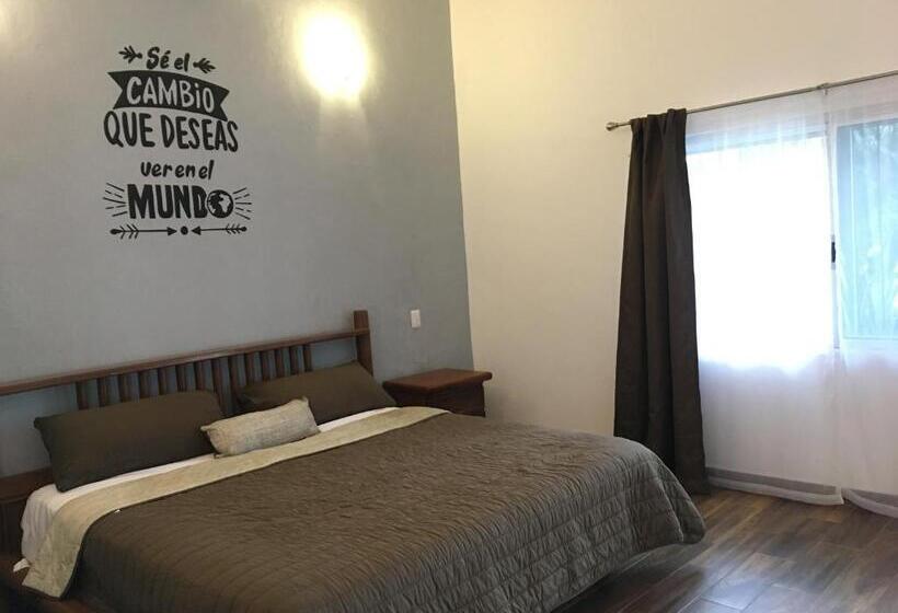 Suites Del Sureste Mérida