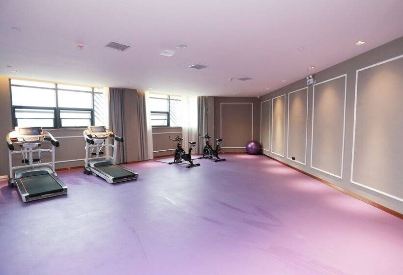 Отель Mercure Wuhan Yangluo