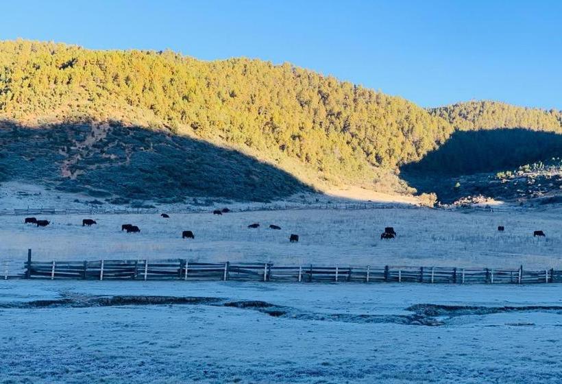 هتل Shangri La Dala Pasture