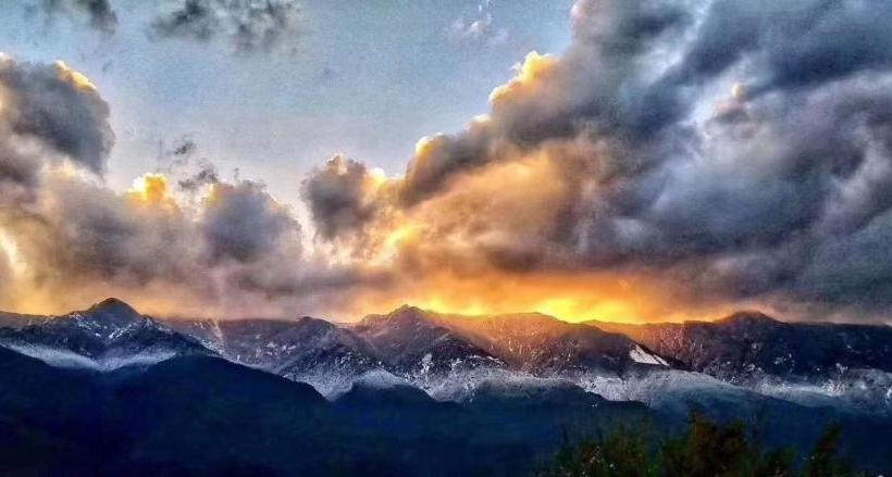 پانسیون 1979 Treeinn