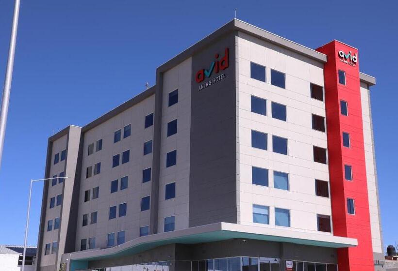 Avid Hotel   Fresnillo, An Ihg