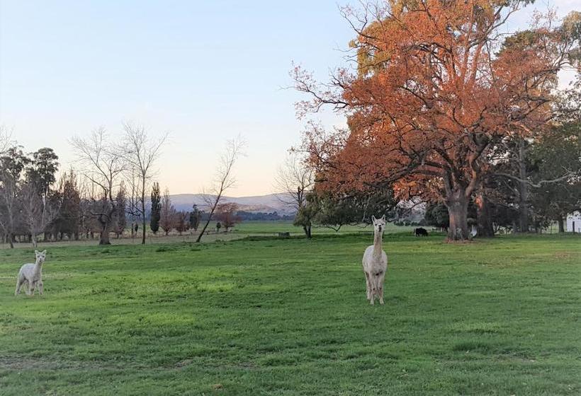 צימר Olinda Yarra Cottage